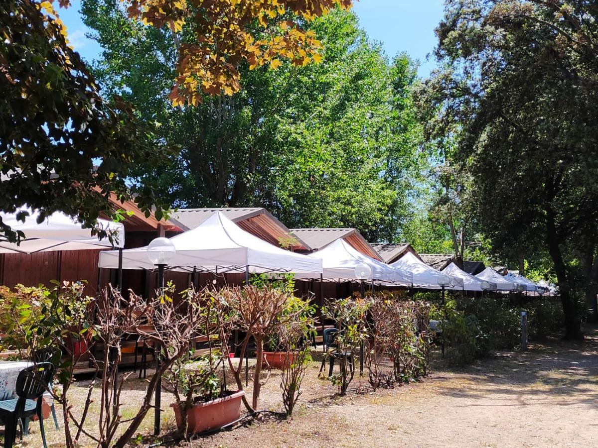 Cabana Camp Hotell Massa  Rum bild
